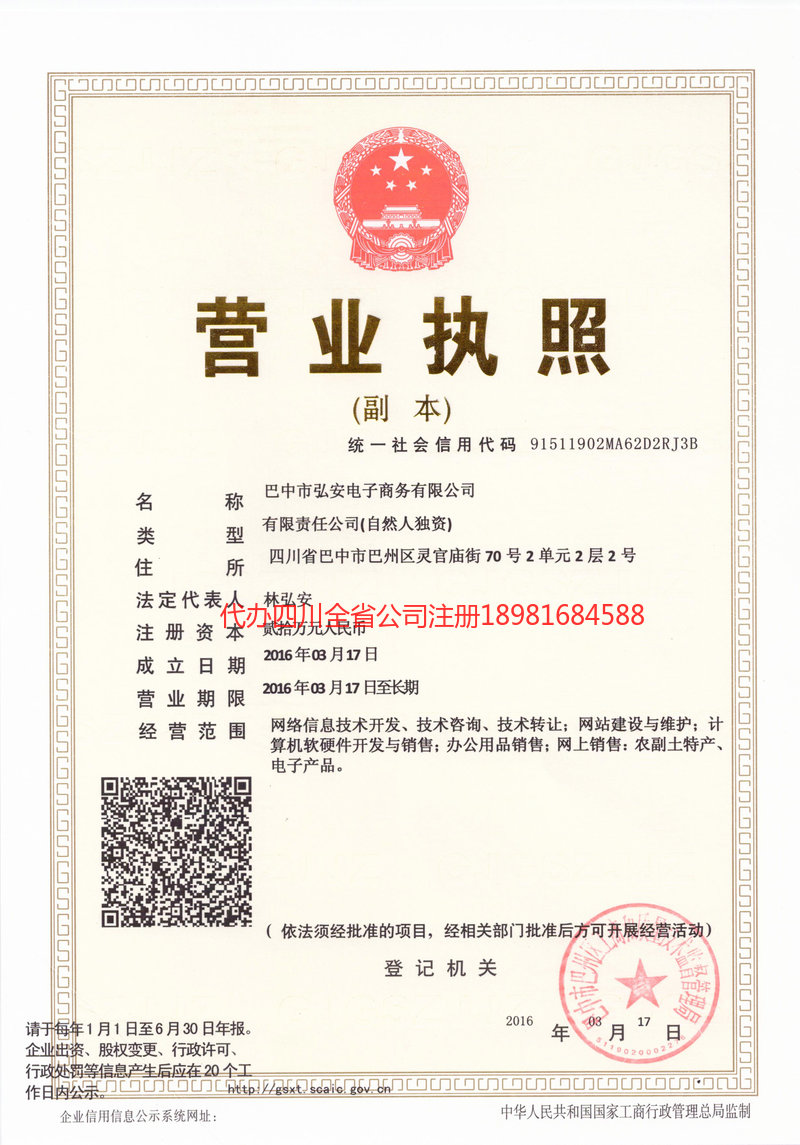 广水广水宏安电子商务有限公司